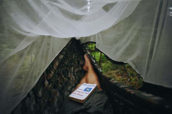 mosquito net