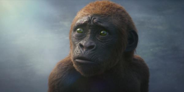 Baby Kong in Godzilla x Kong