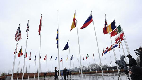 Argentina asks to join Nato as President Milei seeks more prominent role