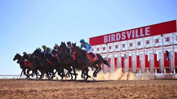 BIRDSVILLE