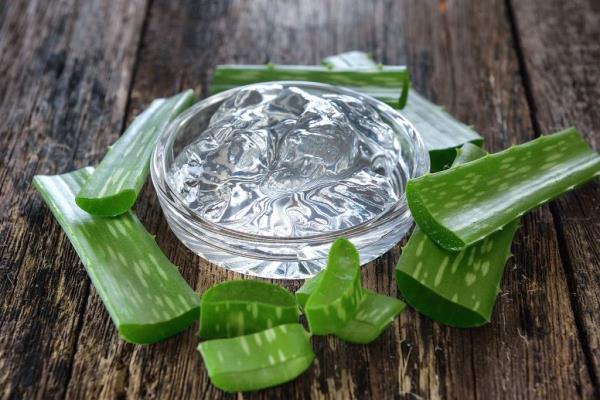 aloe is a natural remedy for inflammation and broken capillaries