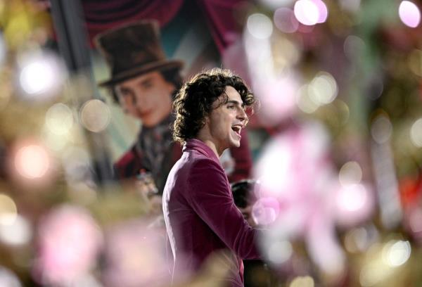 Timothée Chalamet as Willy Wo<em></em>nka in the new musical