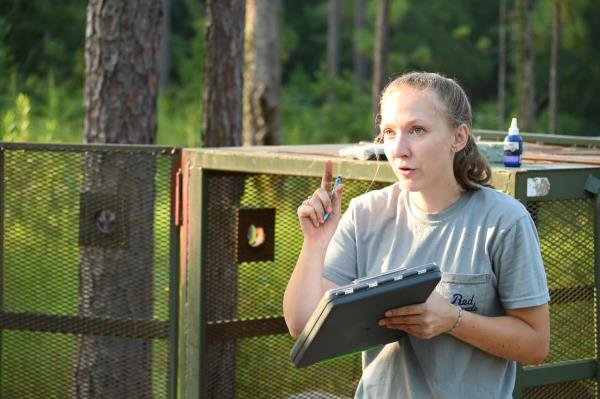 Black bear trapping and tagging in Mobile County